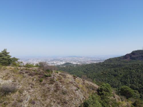 DJI_3732.JPG
